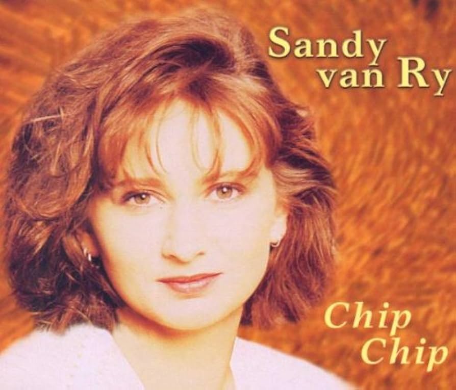 Cover der Single Chip Chip